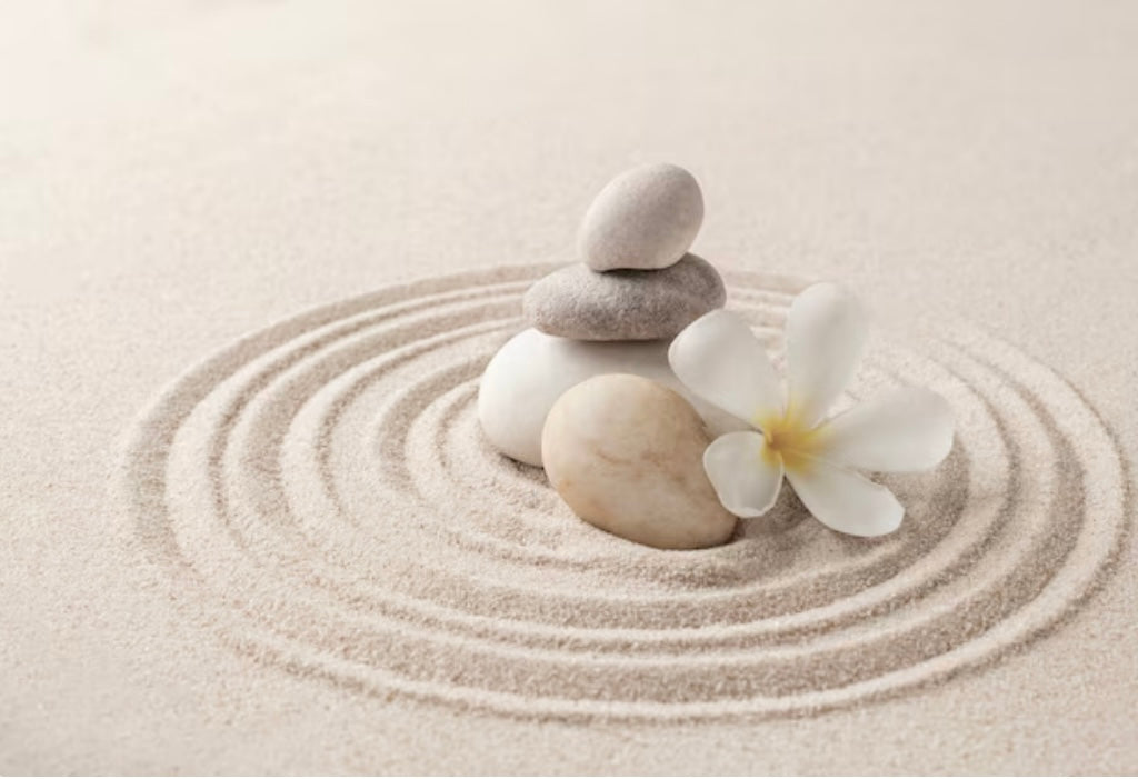 Workshops and Events